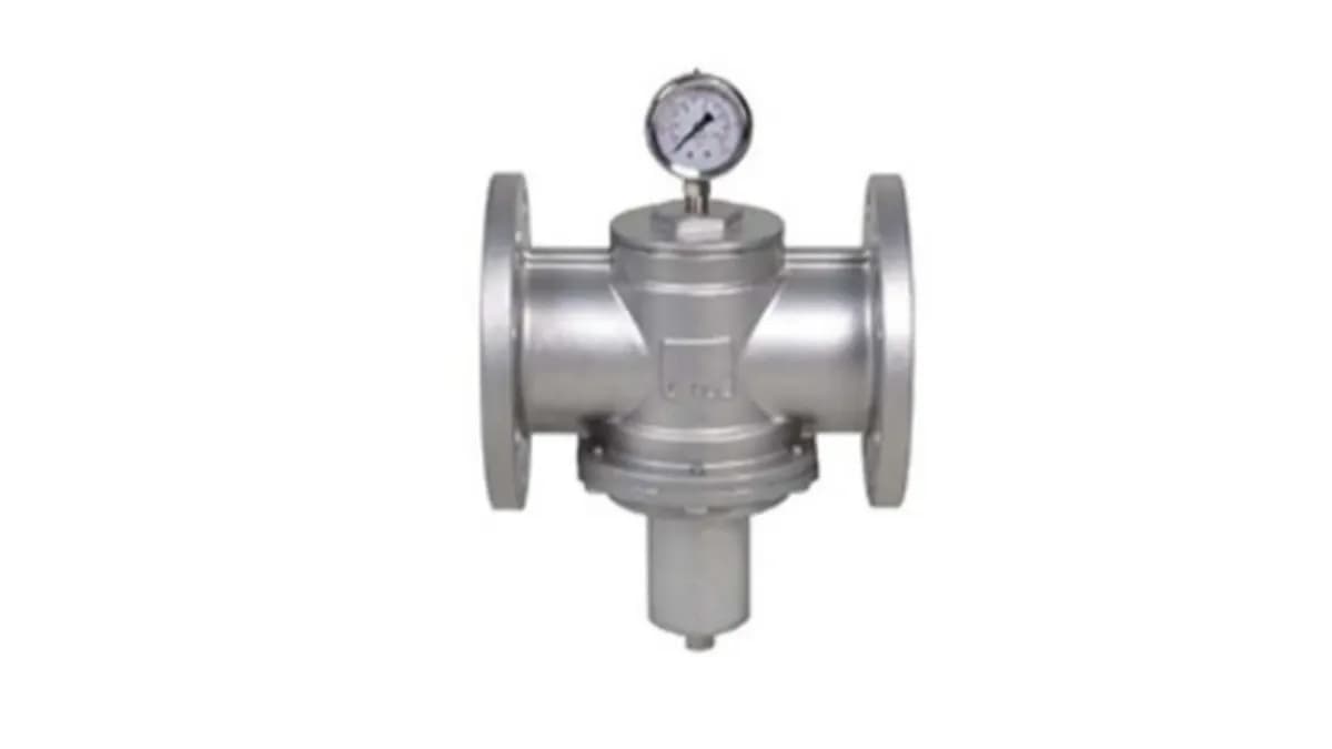 Back Pressure Valve: Definisi, Fungsi, Jenis dan Spesifikasinya