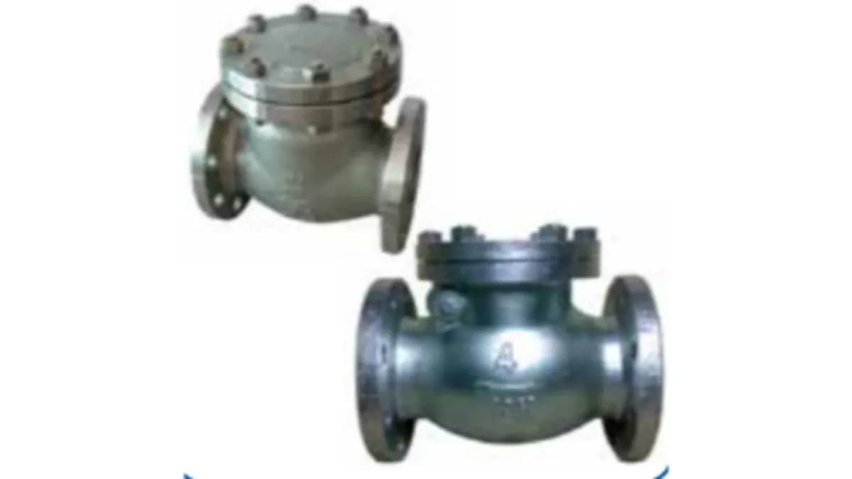 Check Valve: Pengertian, Fungsi, Jenis, Kelebihan, Spesifikasi